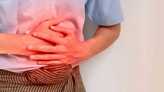Yaz Aylarında Gıda Zehirlenmelerine Karşı Alınması Gereken Önlemler