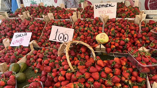 Yaz Meyveleri Tezgahlarda Yerini Aldı