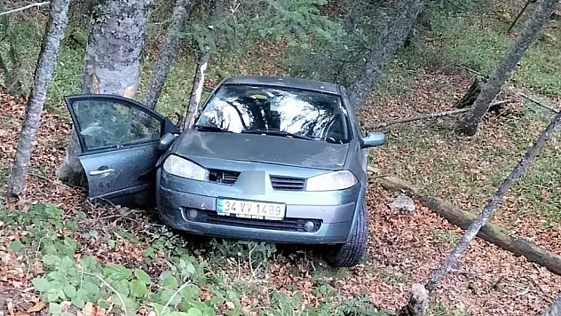 Otomobil Ormanlık Alana Uçtu