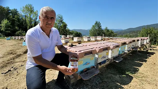 Yenice Ihlamur Balı coğrafi işaret aldı