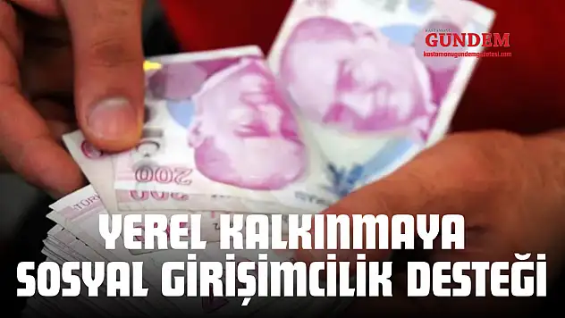 Yerel Kalkınmaya Sosyal Girişimcilik Desteği