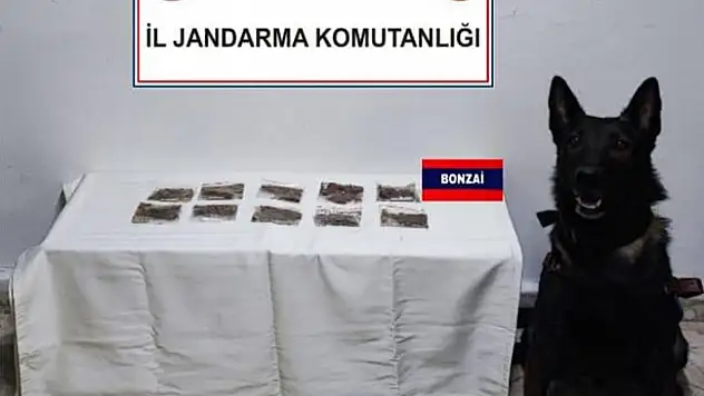 Yol Kontrolünde Uyuşturucu Yakalandı