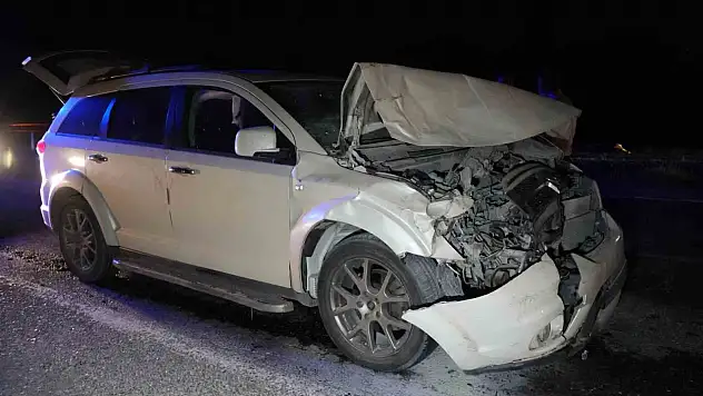 Yola Çıkan Hayvanlara Otobüs Ve Cip Çarptı
