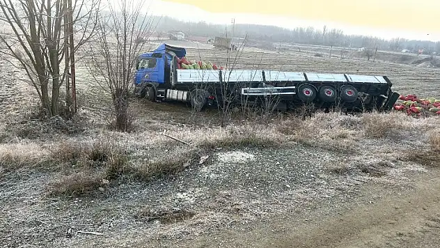 Yoldan çıkan TIR devrildi
