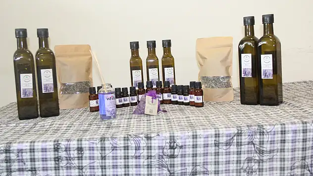 Yörede Yetişen Lavanta Yüksek Kalitede