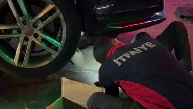 Yunanistan'dan Bolu'ya otomobilin motorunda gelen minik misafir