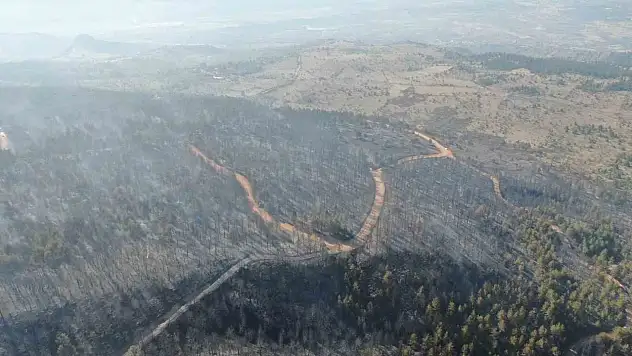 Ormanlık Alandaki Tahribat Havadan Görüntülendi