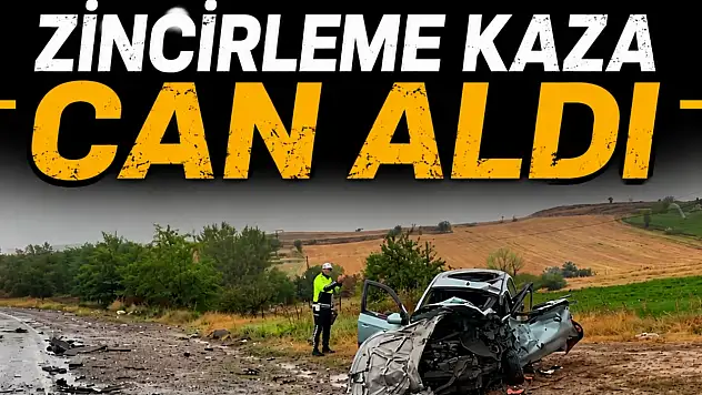 Zincirleme Kaza Can Aldı
