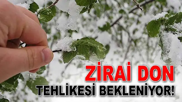 Zirai Don Tehlikesi Bekleniyor!