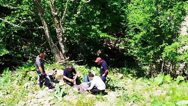 80 Metreden Şarampole Devrildi
