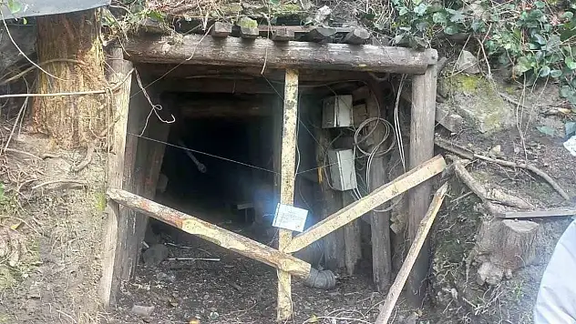 Zonguldak'ta 34 Kişi Yakalandı
