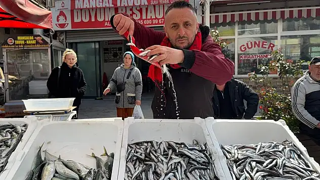 Zonguldak'ta Hamsi 100 Liradan Satılıyor