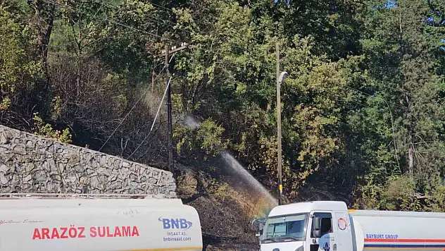 Zonguldak'ta Çıkan Örtü Yangını Kontrol Altına Alındı