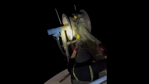 Zonguldak'ta Çinakop Bolluğu