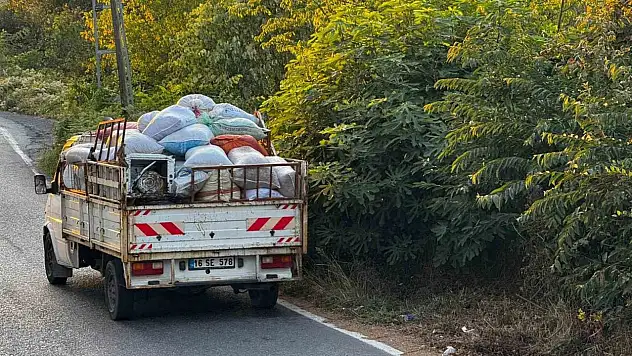 Zonguldak'ta Köylüler Fındık Toplayıcıların Gürültüsünden Şikayetçi