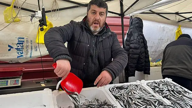 Zonguldak'ta Hamsi 100 Liradan Alıcı Buldu
