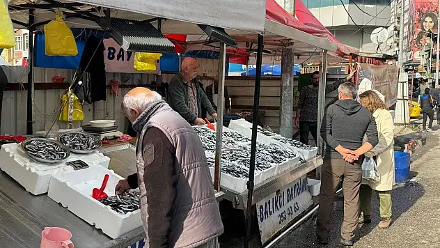 Zonguldak'ta Hamsi Fiyatları Yeniden Yükselişte