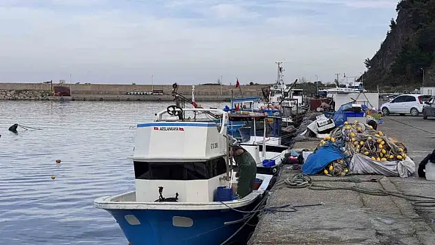 Zonguldak'ta Hamsi Yoğunluğu Yaşandı, Palamut Çıkmadı