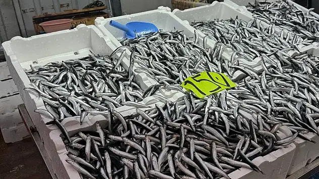 Hava Şartları Hamsi Fiyatını Yükseltti