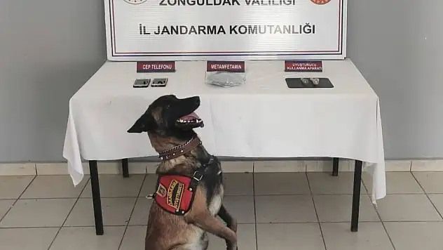 Jandarmadan Uyuşturucu Operasyonu