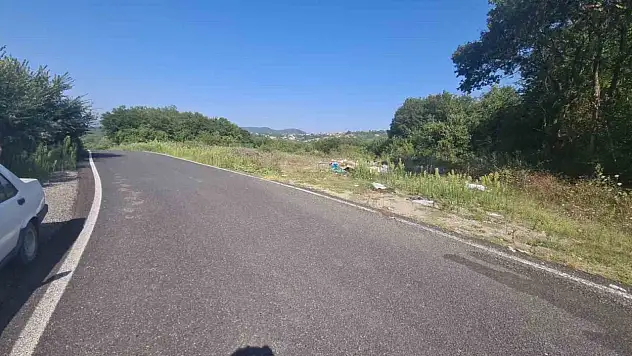 Zonguldak'ta ormanlık alana atılan cam şişeler yangın riski oluşturdu