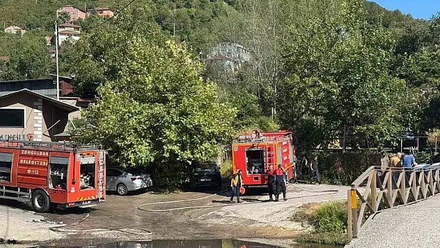 Zonguldak'ta Ormanlık Alanda Yangın!