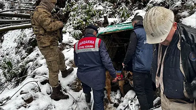 Zonguldak'ta Ruhsatsız 10 Maden Ocağı Kapatıldı
