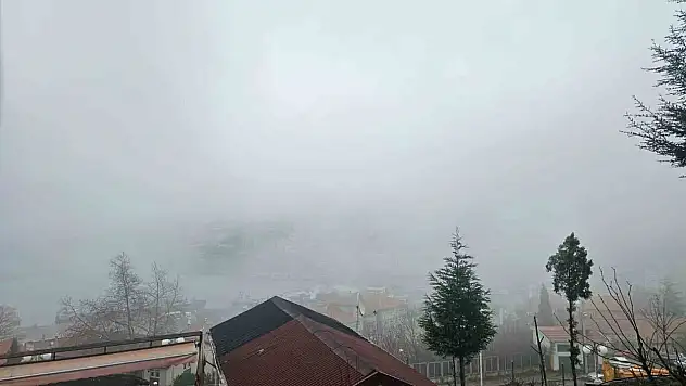Zonguldak'ta Sis Etkili Oldu