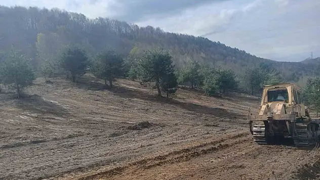Sokak Hayvanları İçin Çalışmalar Hız Kazandı