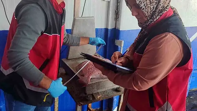 Zonguldak'ta Su Ürünleri Denetimleri Sürüyor