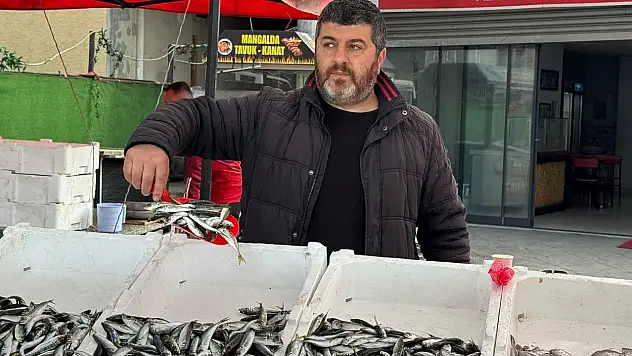 Zonguldak'ta Tezgahlarda İstavrit Bolluğu