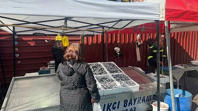 Zonguldak'ta Tezgahlarda Mezgit Bolluğu