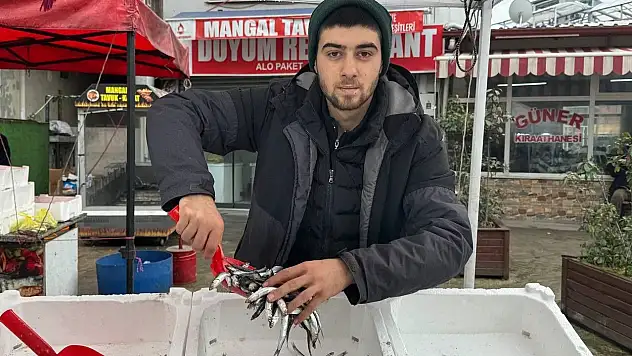 Zonguldak'ta Hamsinin Yerini İstavrit Ve Mezgit Alacak