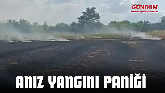 Anız Yangını Paniği