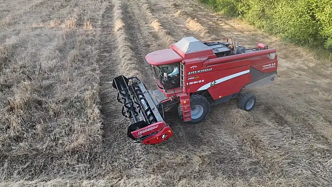Kastamonu'nun Ata Tohumu Siyezi Düzce'de İlk Kez Hasat Edildi