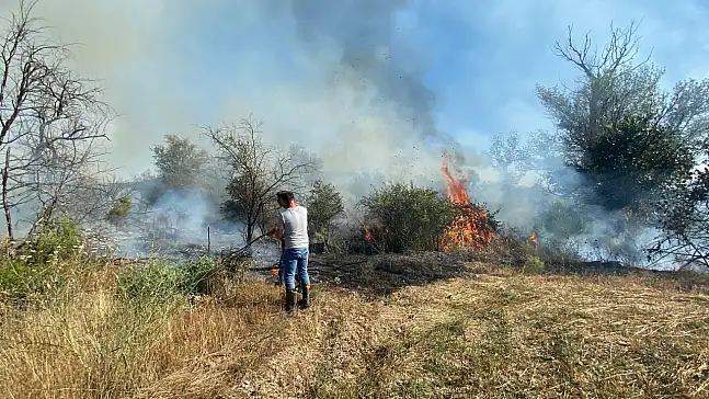Kastamonu Sınırında Korkutan Yangın