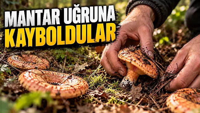 Mantar Uğruna Kayboldular