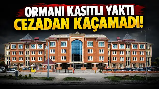 Ormanı Kasıtlı Yaktı, Cezadan Kaçamadı!