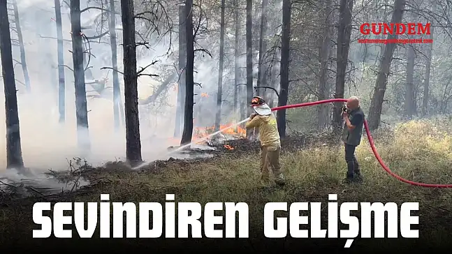 Sevindiren Gelişme