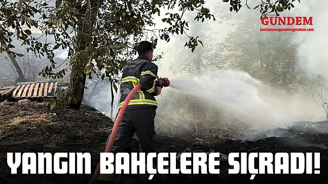 Yangın Bahçelere Sıçradı!