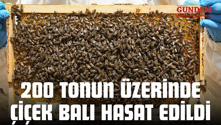 200 Tonun Üzerinde Çiçek Balı Hasat Edildi