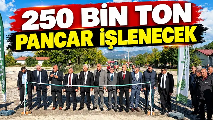 250 Bin Ton Pancar İşlenecek