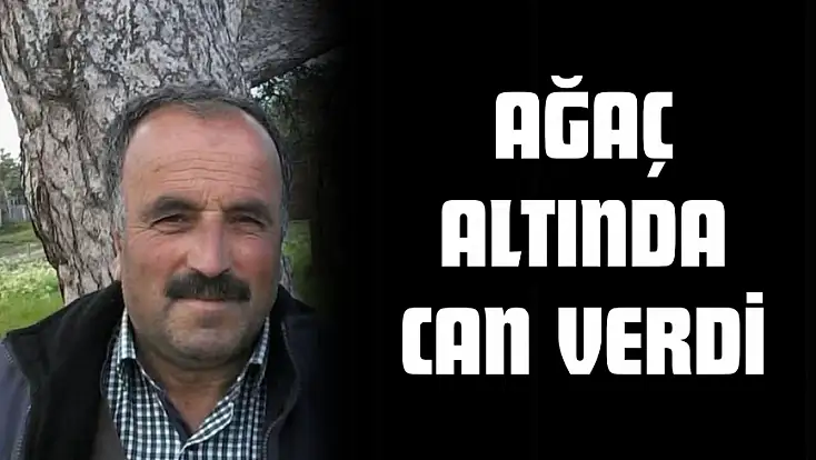 Ağaç Altında Can Verdi