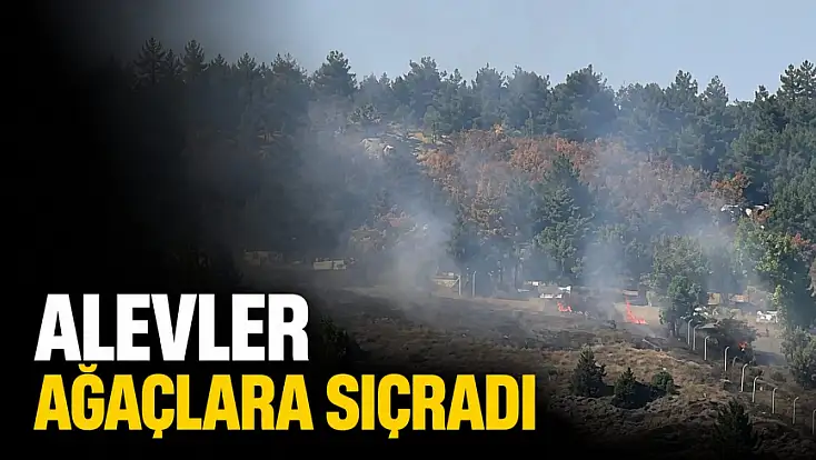 Alevler Ağaçlara Sıçradı