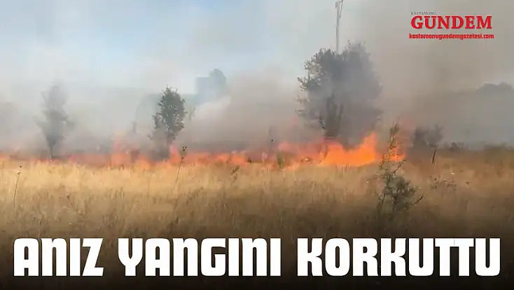 Anız Yangını Korkuttu