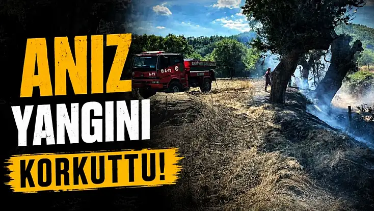 Anız Yangını Korkuttu!
