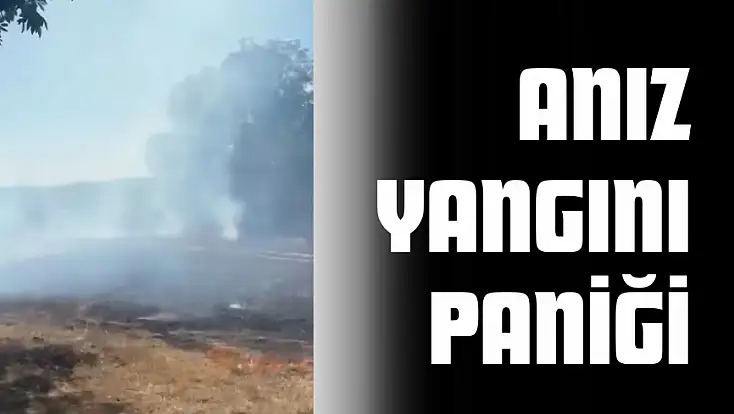 Anız Yangını Paniğe Neden Oldu