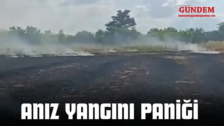 Anız Yangını Paniği