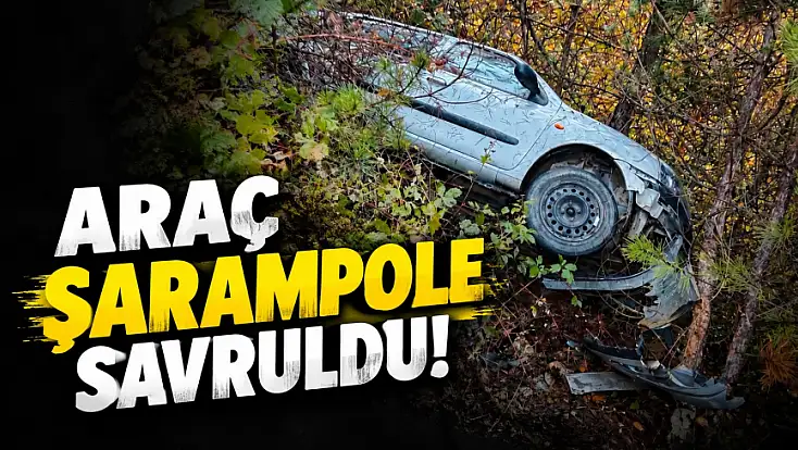 Araç Şarampole Savruldu!