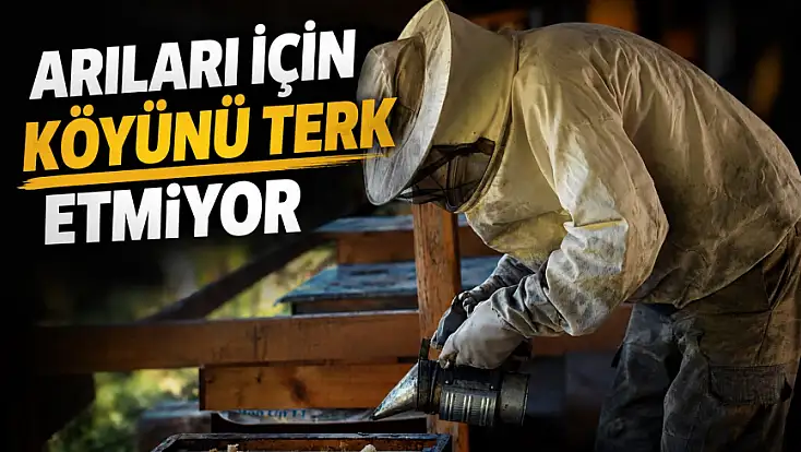 Arıları İçin Köyünü Terk Etmiyor